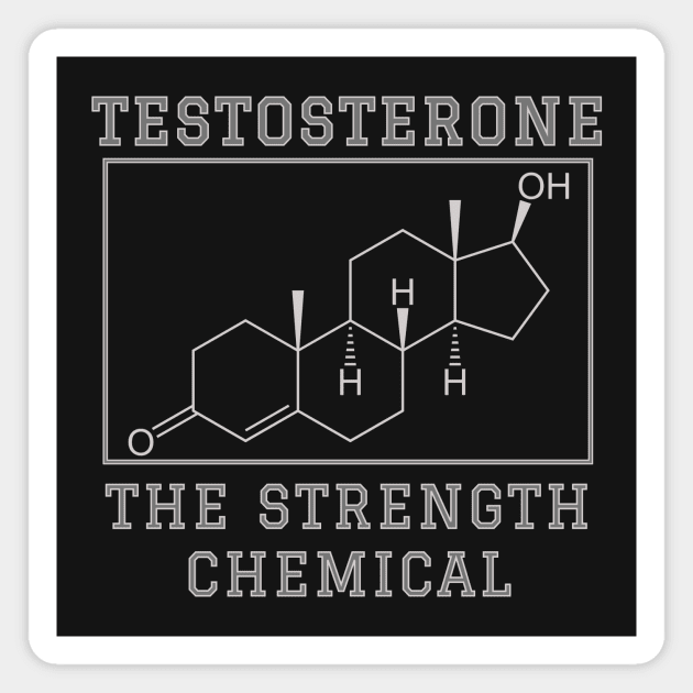 Testosterone chemical formula Magnet by Matthews's 